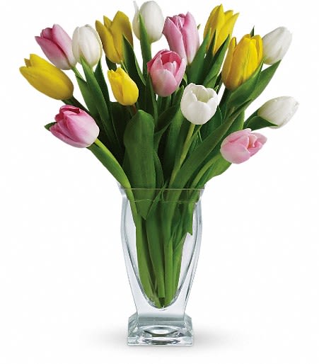 Teleflora's Tulip Treasure - There's no reason to tiptoe around the sheer delight of tulips! And if you're lucky enough to have a treasure-trove of tulips like this one at your fingertips…what are you waiting for? 