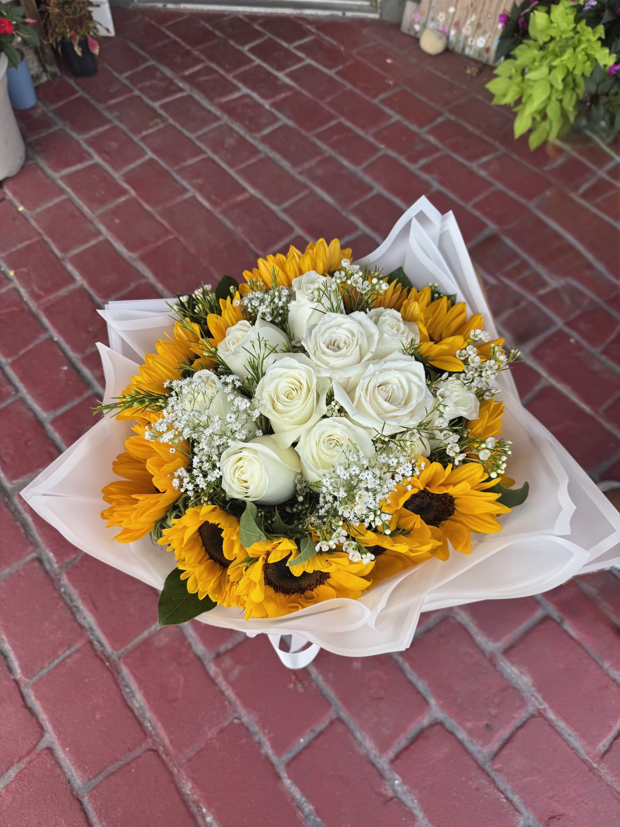 Bella Vida - This gorgeous wrapped arrangement includes 12 yellow sunflowers, and 12 white roses with filler included like wax flower or baby's breath.