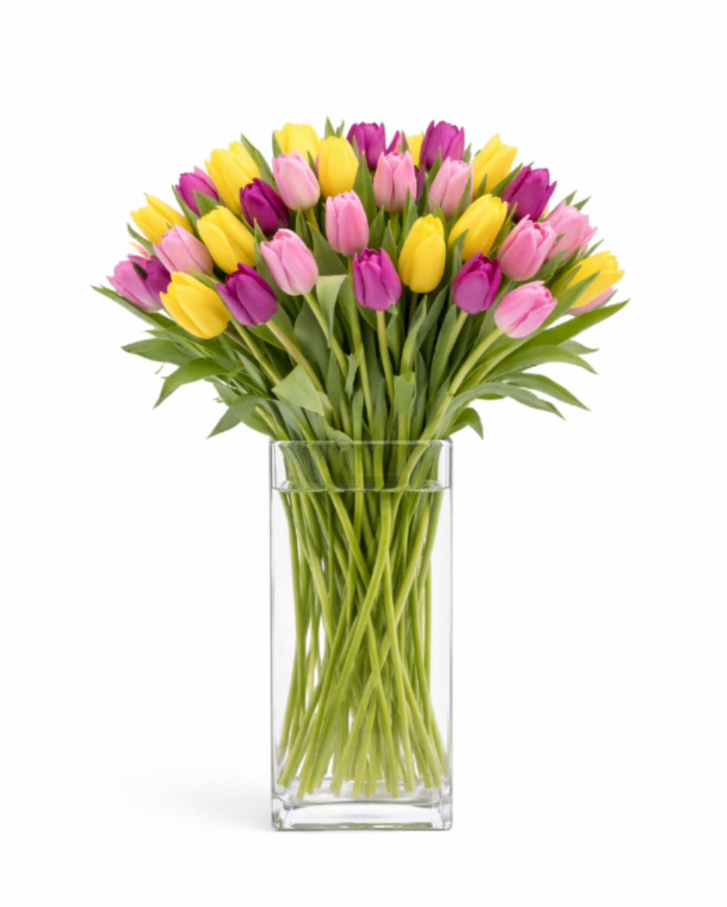 Gloss - Send a selection of tulips to somebody you have unconditional love for! Always treasured and appreciated, Tulips have a rich history and are loved by all making them a fan favorite for Valentine's Day. They also are a great option for celebrating an anniversary or just because.  1st Image: Standard 2nd Image: Premium