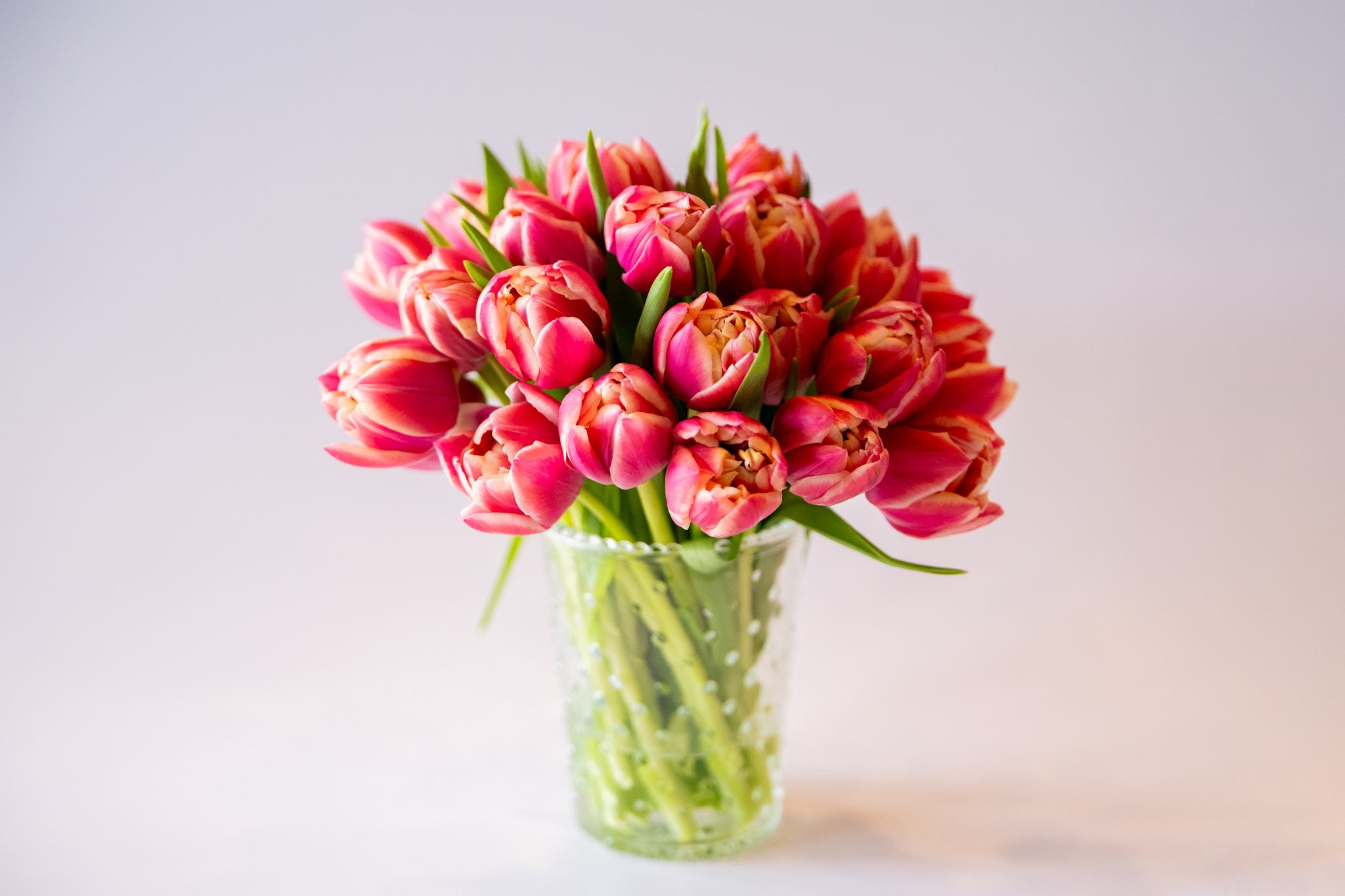 Tulip Bunch  - Premium tulip bunch in a 4x3" glass vase.