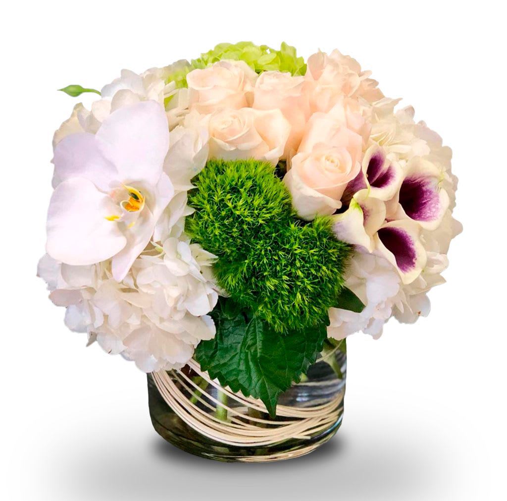 A Touch Of Picasso By Newport Florist NF304 - This gorgeous bouquet of white roses and green dihanthus is beautifully presented in a cylinder glass vase with hydrangeas, orchids &amp; much more 