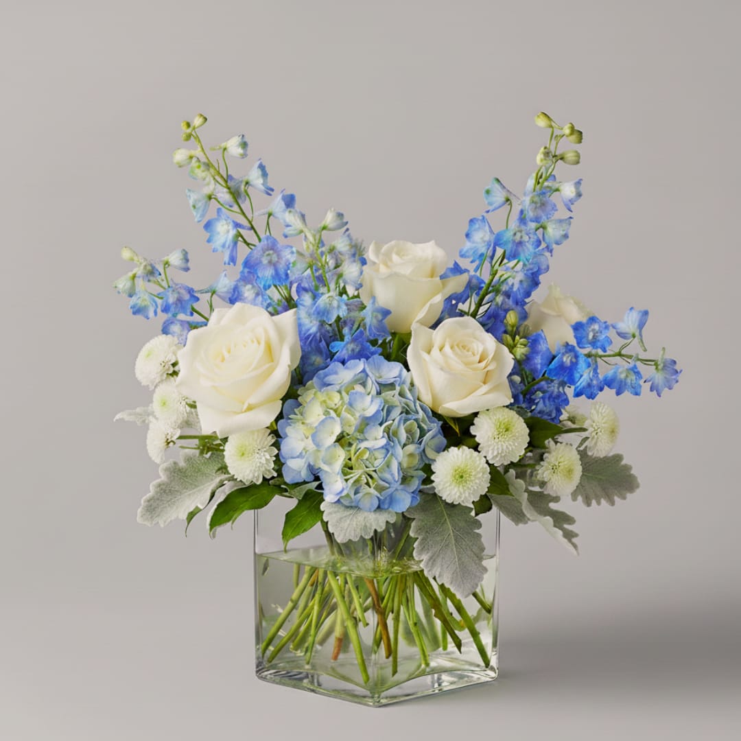 Brilliant Blues  - Send a wave of serenity with our Brilliant Blues Bouquet!  Inspired by the serene colors of the sea and sky, this elegant arrangement showcases a refreshing and sophisticated blend of crisp whites and soft, vibrant blues. It is the perfect design for a thoughtful thank you, a stylish housewarming gift, or simply to bring a tranquil and airy feeling into any space.  This captivating display features luxurious white roses, soft blue hydrangea, elegant spires of blue delphinium, and delicate white button or focal chrysanthemums, all accented with the beautiful, velvety silver-gray foliage of dusty miller or eucalyptus. These sophisticated blooms are thoughtfully hand-arranged in a sleek, modern, clear glass cube vase, creating a clean and timeless presentation.  Let us help you send a moment of pure coastal elegance. Order the Brilliant Blues Bouquet today and elevate their space with the beauty of the seaside!