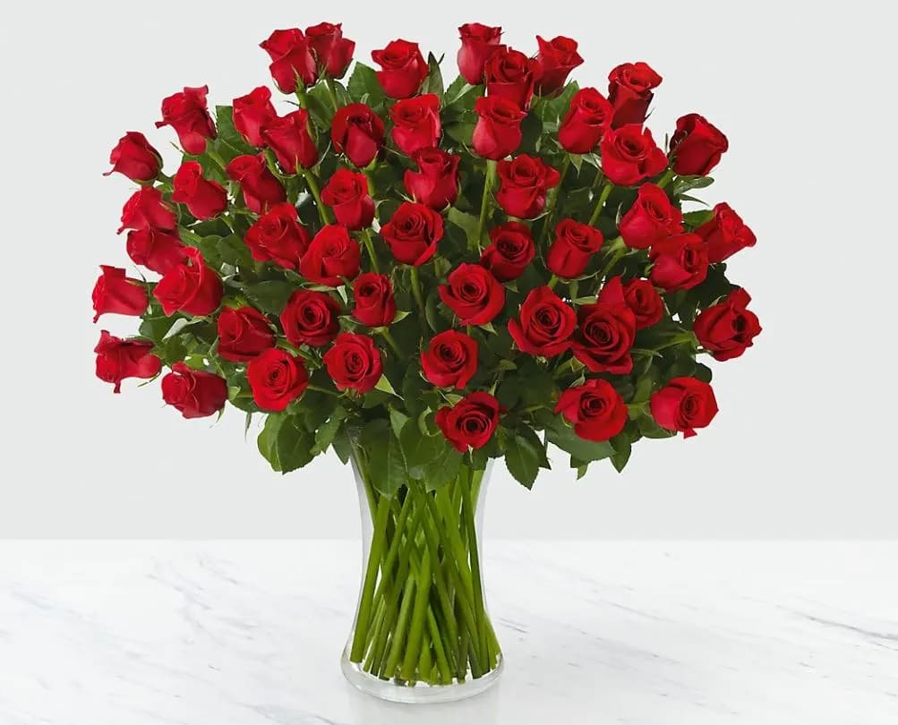 Fifty Long Stem Red Roses - GLASS VASE INCLUDED - This is our best deal yet! Picked fresh from the farm, 50 stems of our premium long stem 16-inch red roses create a fantastic surprise for your special someone with its abundance of swirling blooms. Hand gathered at select floral farms and displaying a rich red hue, this long stem rose bouquet has been picked fresh for you to help you bring on the romance when celebrating an anniversary, to help you say, "I love you", or to simply let them know they are always on your mind. Bouquet includes 50 stems of red roses.