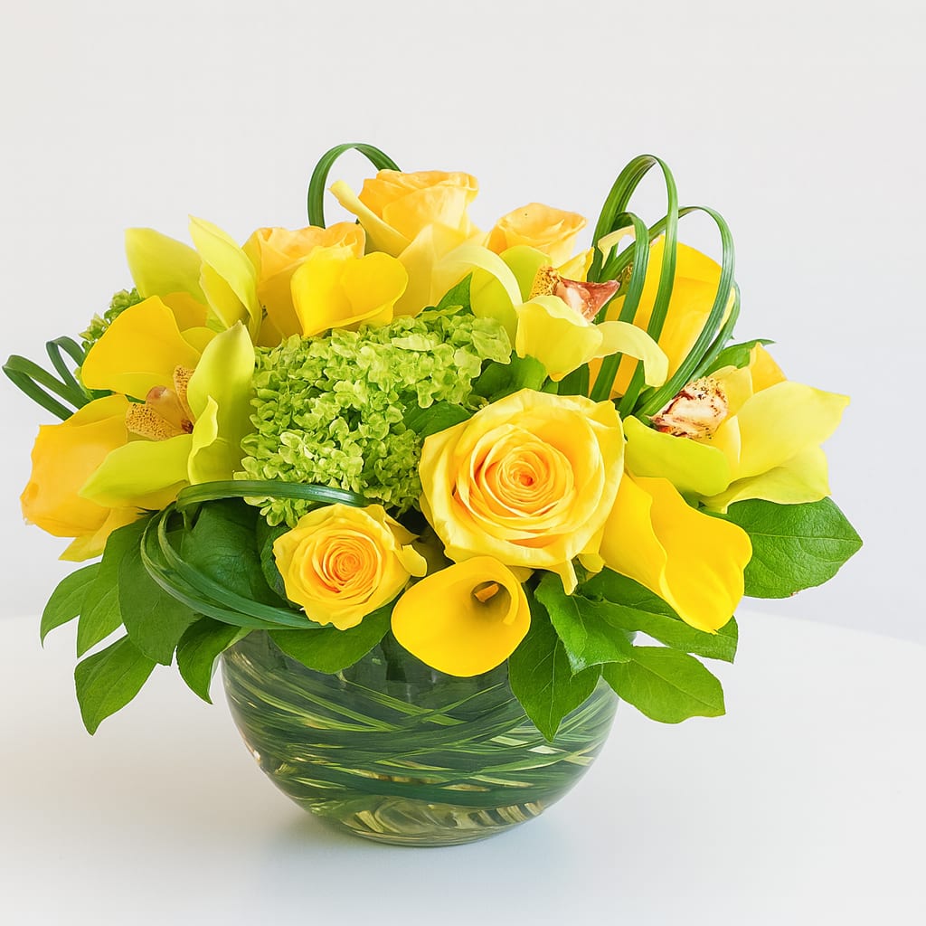 Bright Sophistication - This is the perfect way to let someone know you are thinking of them. Whether it is a thank you, a house warming, or a 'just because' moment, this lovely arrangement will say it all. Shades of yellow and green with Cymbidium Orchids, Hydrangea, Calla Lily, Roses and enhanced with loops of lily grass. 