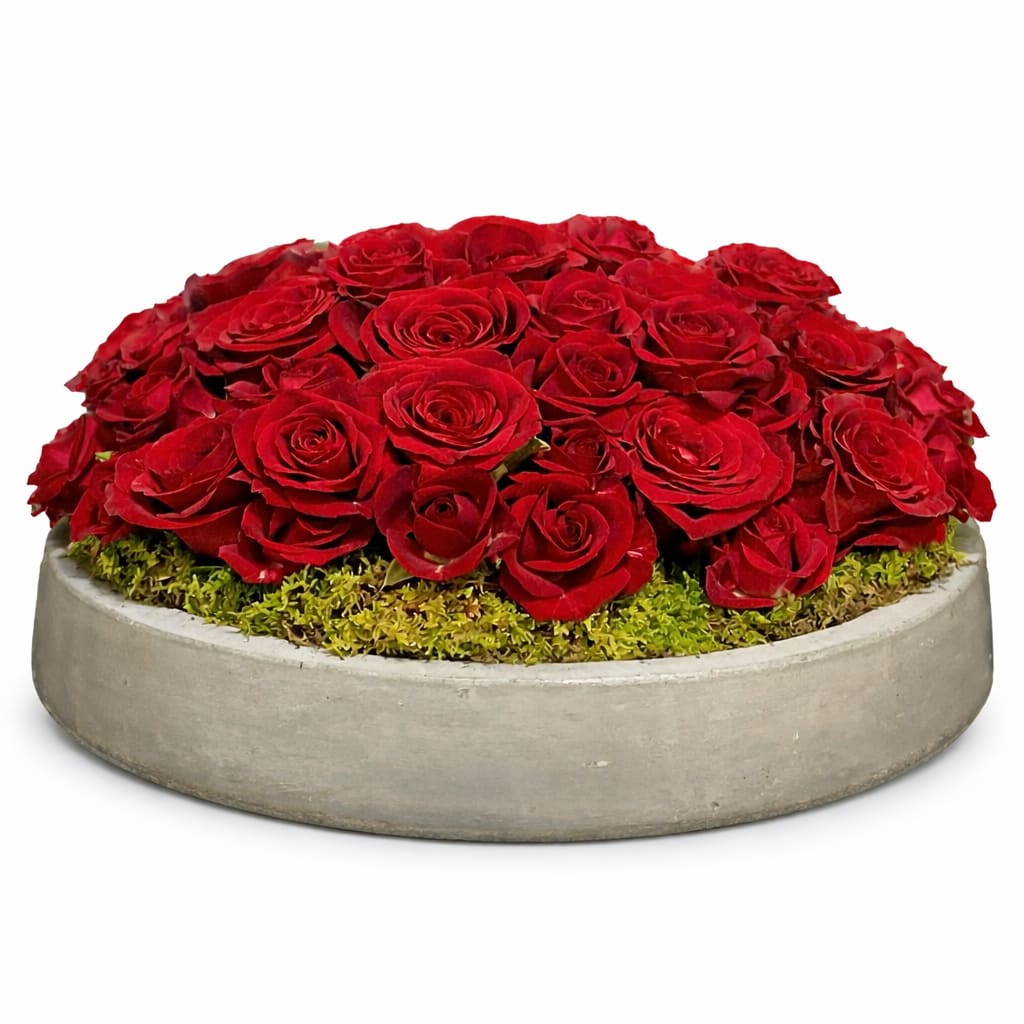 Set In Stone - Gorgeous array of premium red roses and sprays displayed in a sleek Newport dish. 