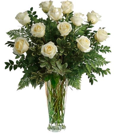 Classic white roses  - Long beautiful white roses in vase