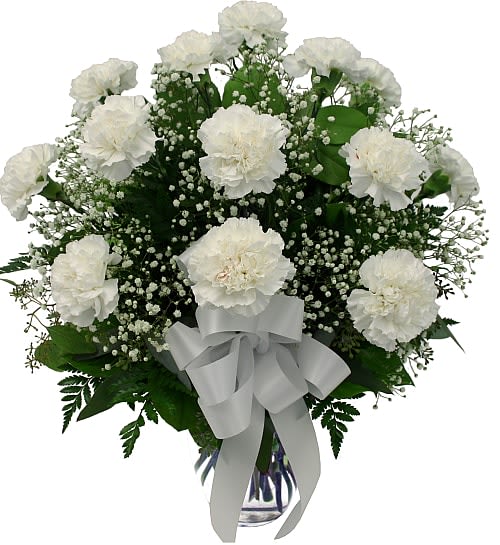 12 White Carnations - Give this affordable and thoughtful gift of 12 white carnations arranged in a glass vase with baby's breath and white satin bow.