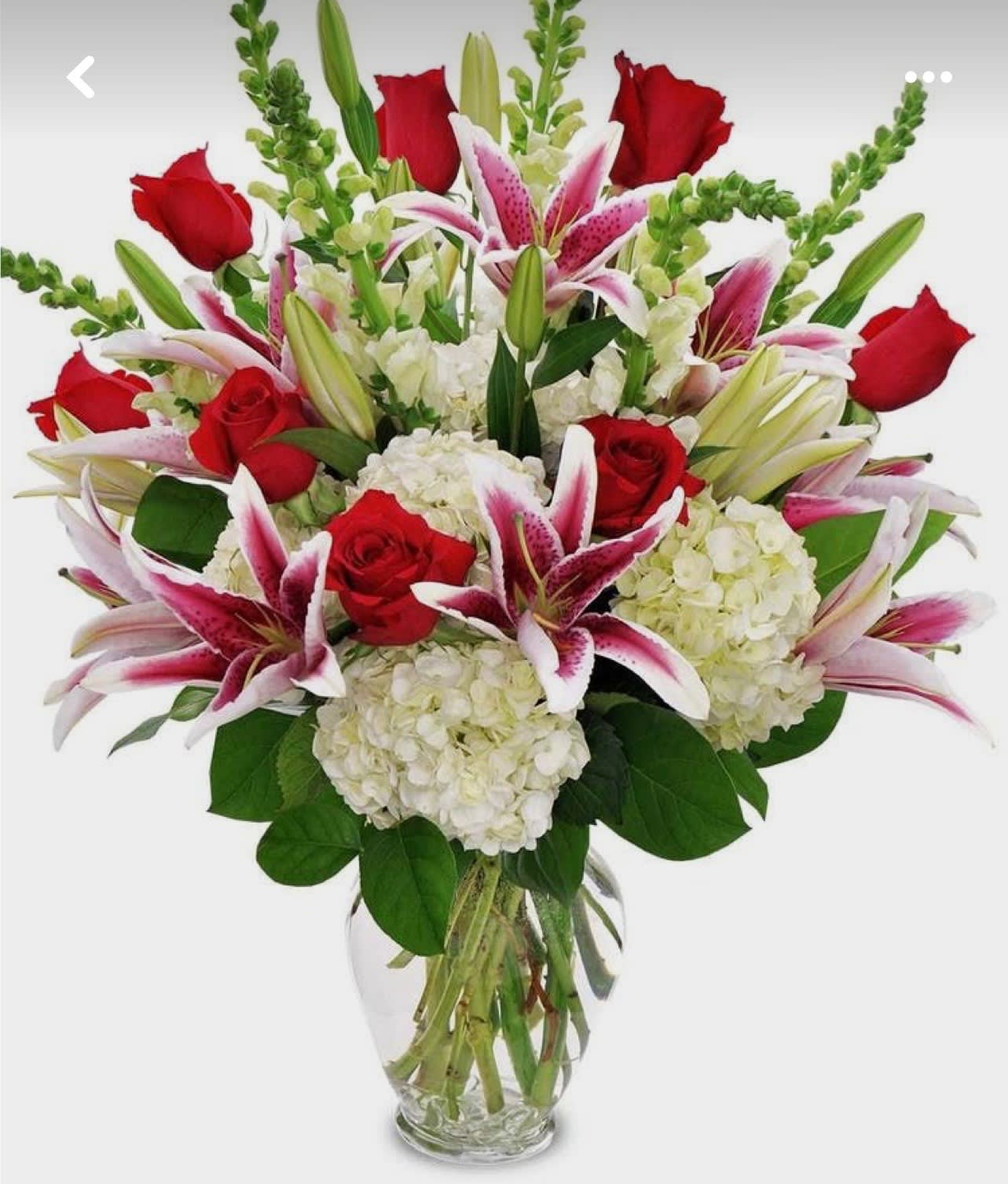 My Forever - A beautiful arrangement for any occasion. it includes White Hydrangeas, stargazer lilies, red roses, and white snapdragons  