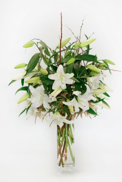 Casablanca - Keep it classic with Casablanca. This refined arrangement is a timeless choice for any occasion or event. Exquisite Casablanca Lilies meet Pussy Willow for an elegant creation. Celebrate a milestone or honor someone special with the beautiful Casablanca. 