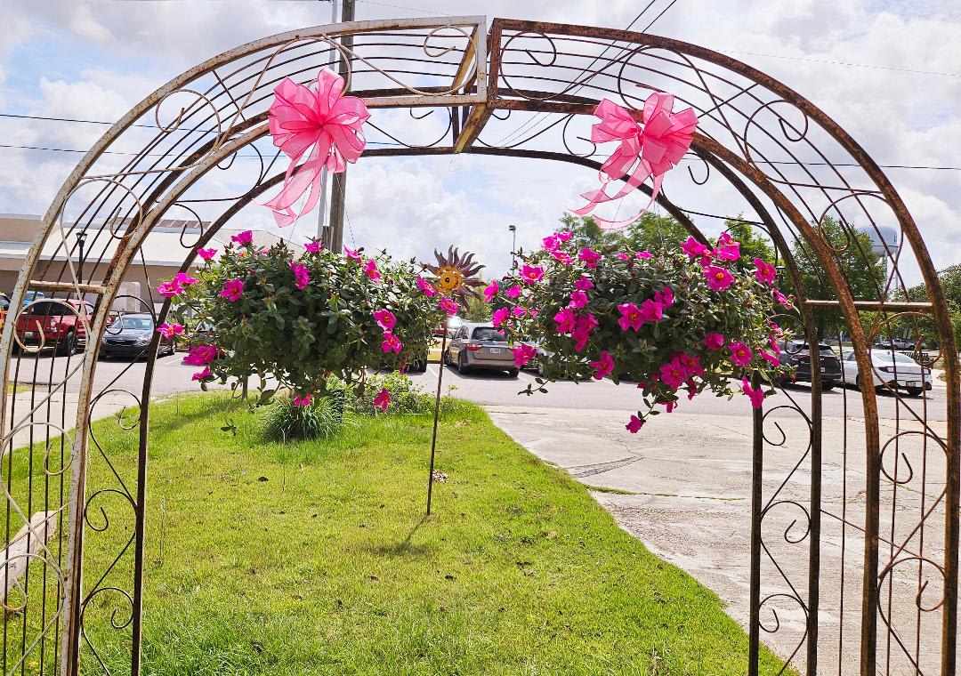 Set of 2 Hanging Plant Baskets - Set of 2 hanging plant baskets, colors and plants may vary. 