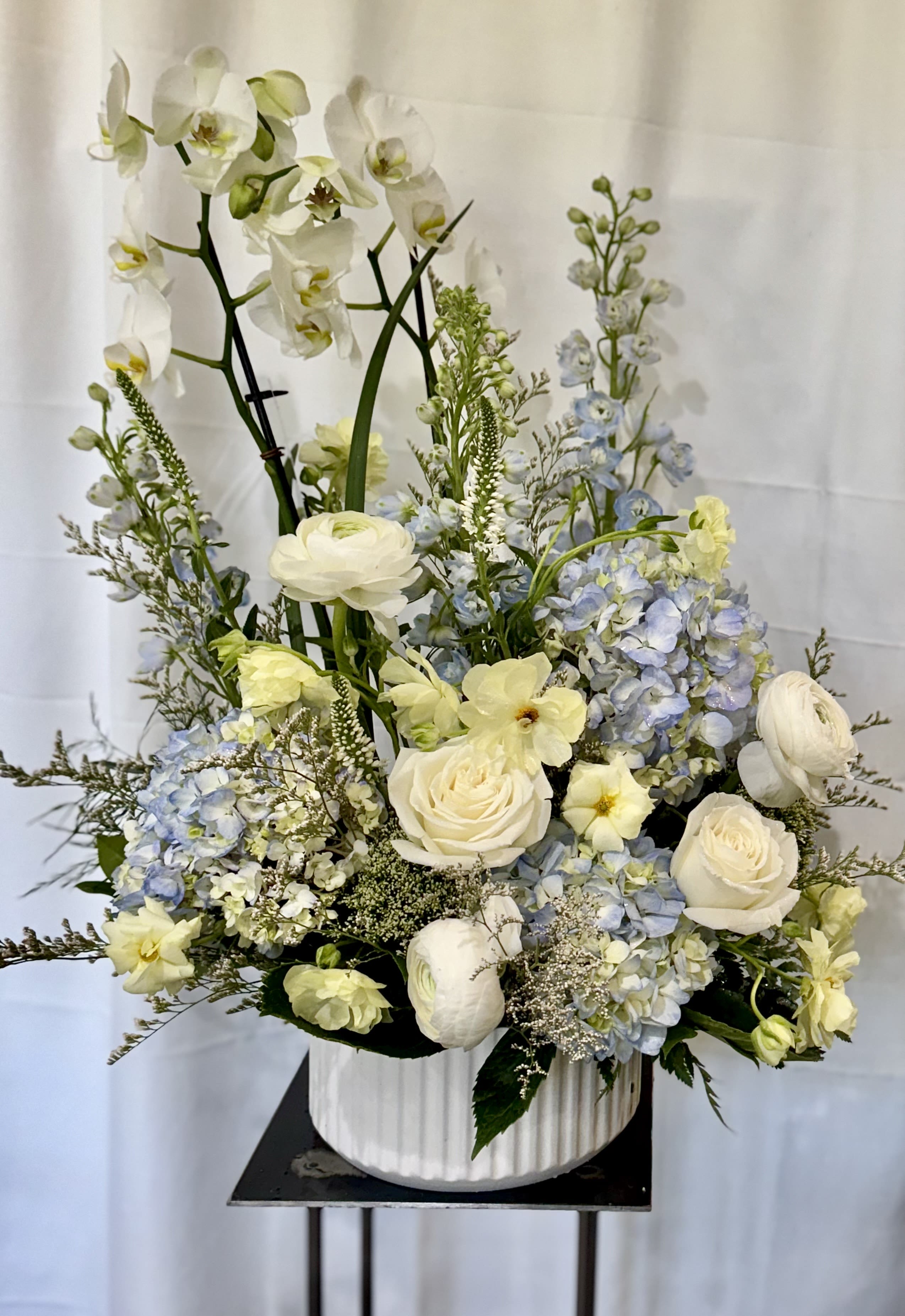 Blue Dreams - A dreamy combination of an orchid dish garden surrounded by hydrangeas, ranunculus and lush greens. Once the blooms have passed the orchid is there to stay