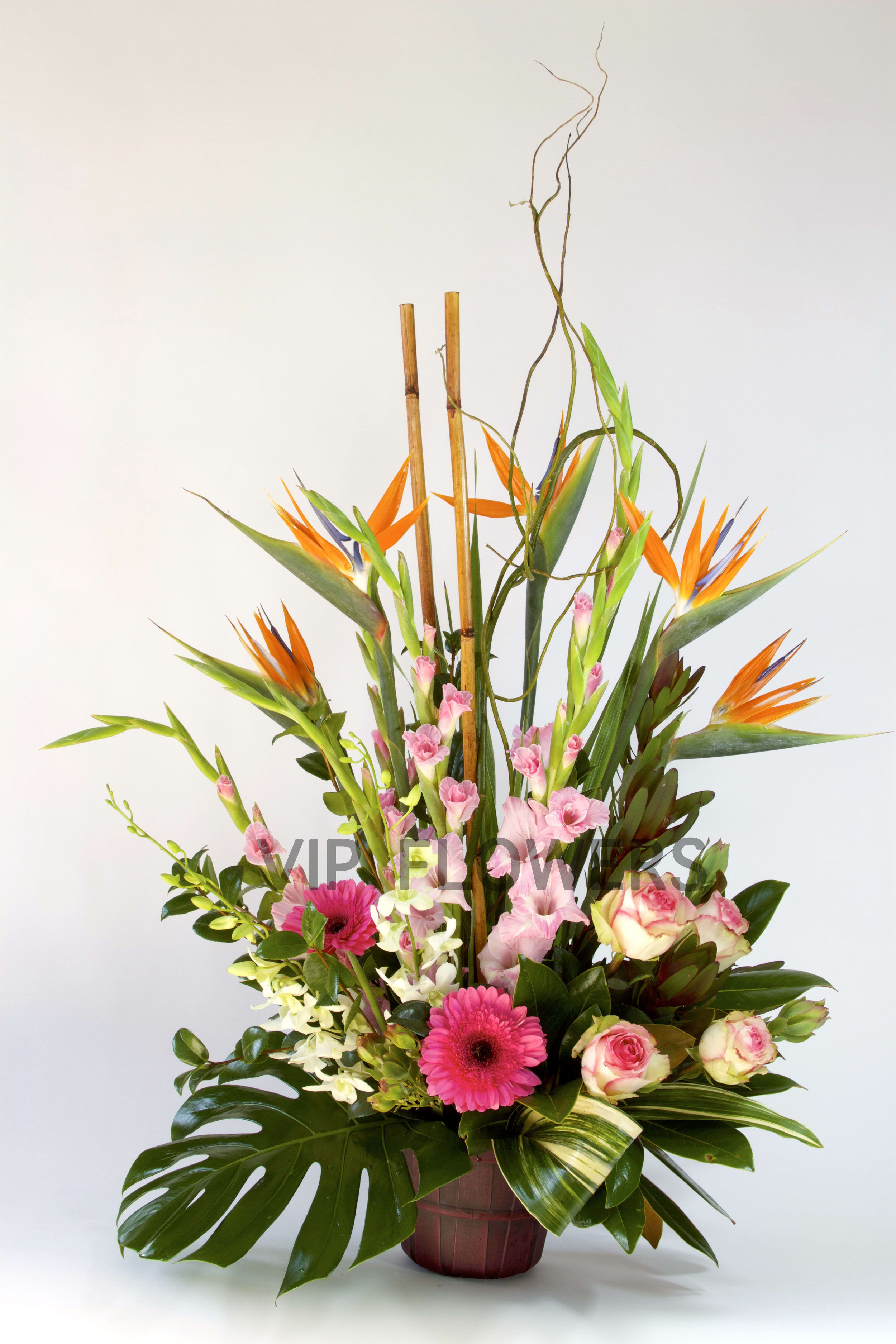 Wild River - Substitutions may be necessary to ensure your arrangement or specialty gift is delivered in a timely manner. The utmost care and attention is given to your order to ensure that it is as similar as possible to the requested item (Please note that some flowers and colors may vary due to seasonality.)