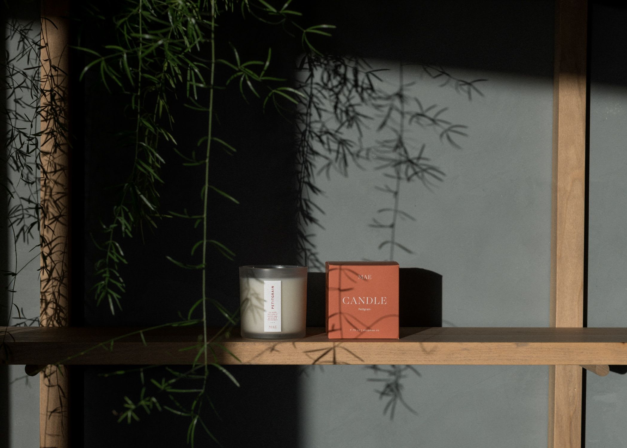 MAE - Petitgrain Candle - Hand-poured soy candles. Made with the same essential oil blend as our Eucalyptus Hand Soap and Hand Cream.   Essential Oils (steam-distilled) - PETITGRAIN, SPANISH SAGE, GERANIUM, RED MANDARIN.  Made with 100% soy wax and a braided cotton wick.  7.75 oz | frosted glass