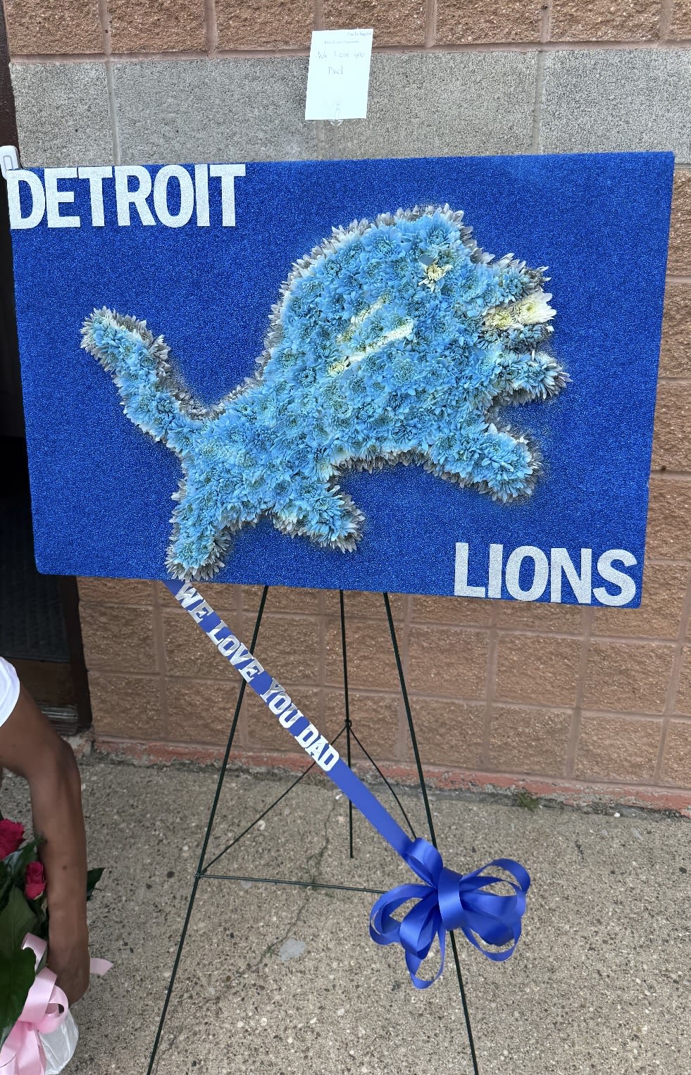 Custom Lions Logo  - Custom Logos
