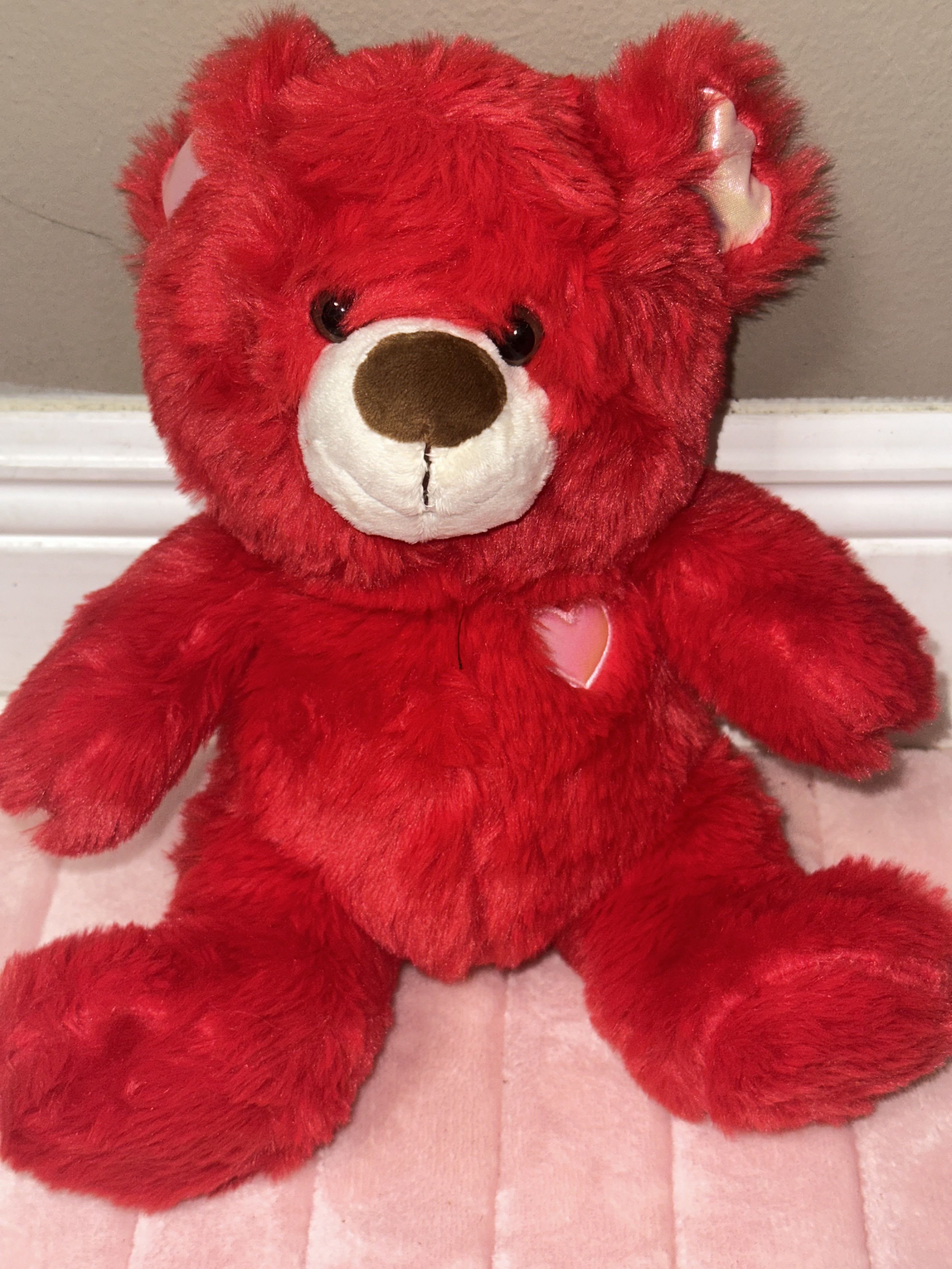 Handsome teddy - Midiun teddy bear