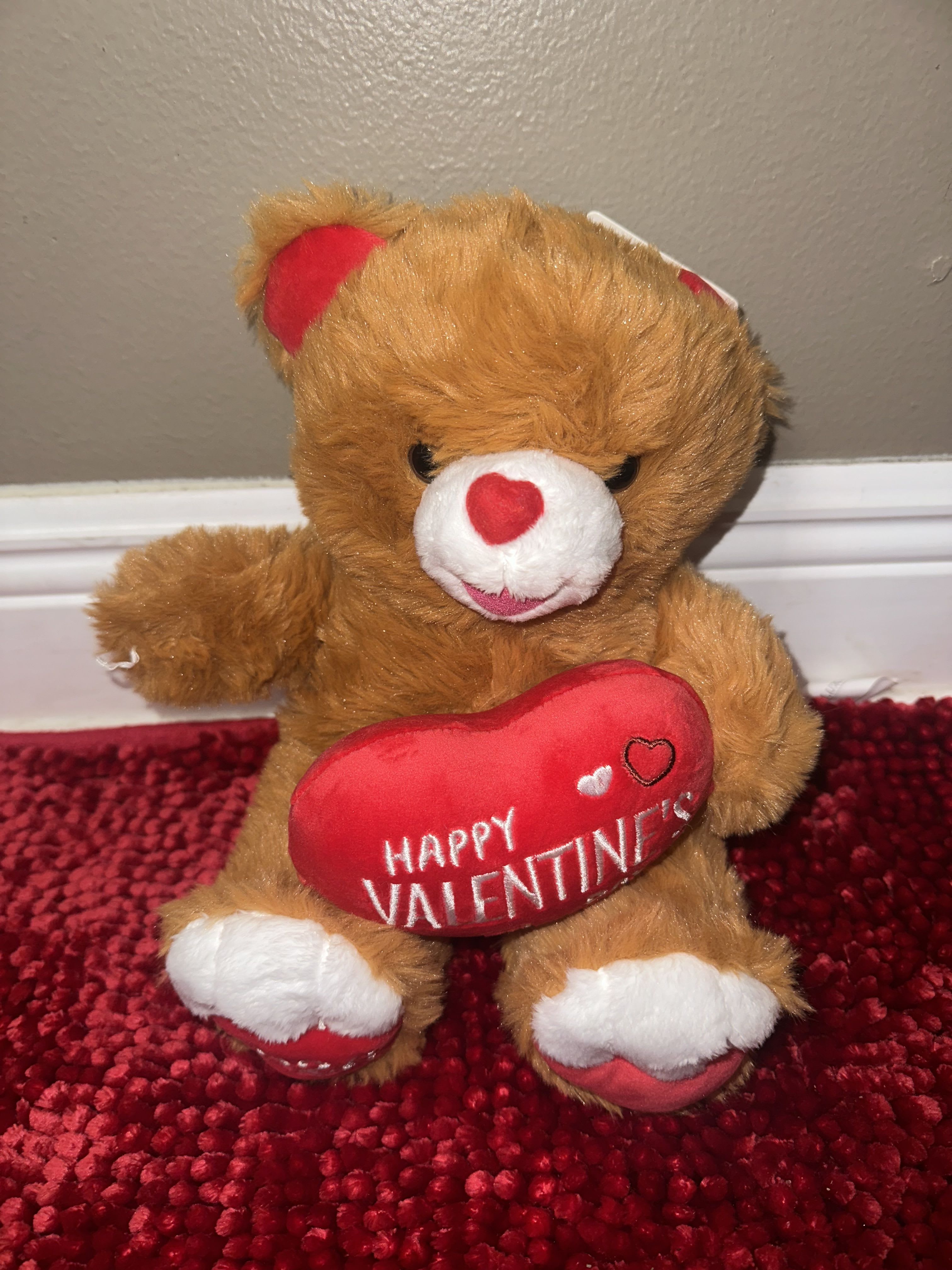 Baby teddy - Midiun teddy