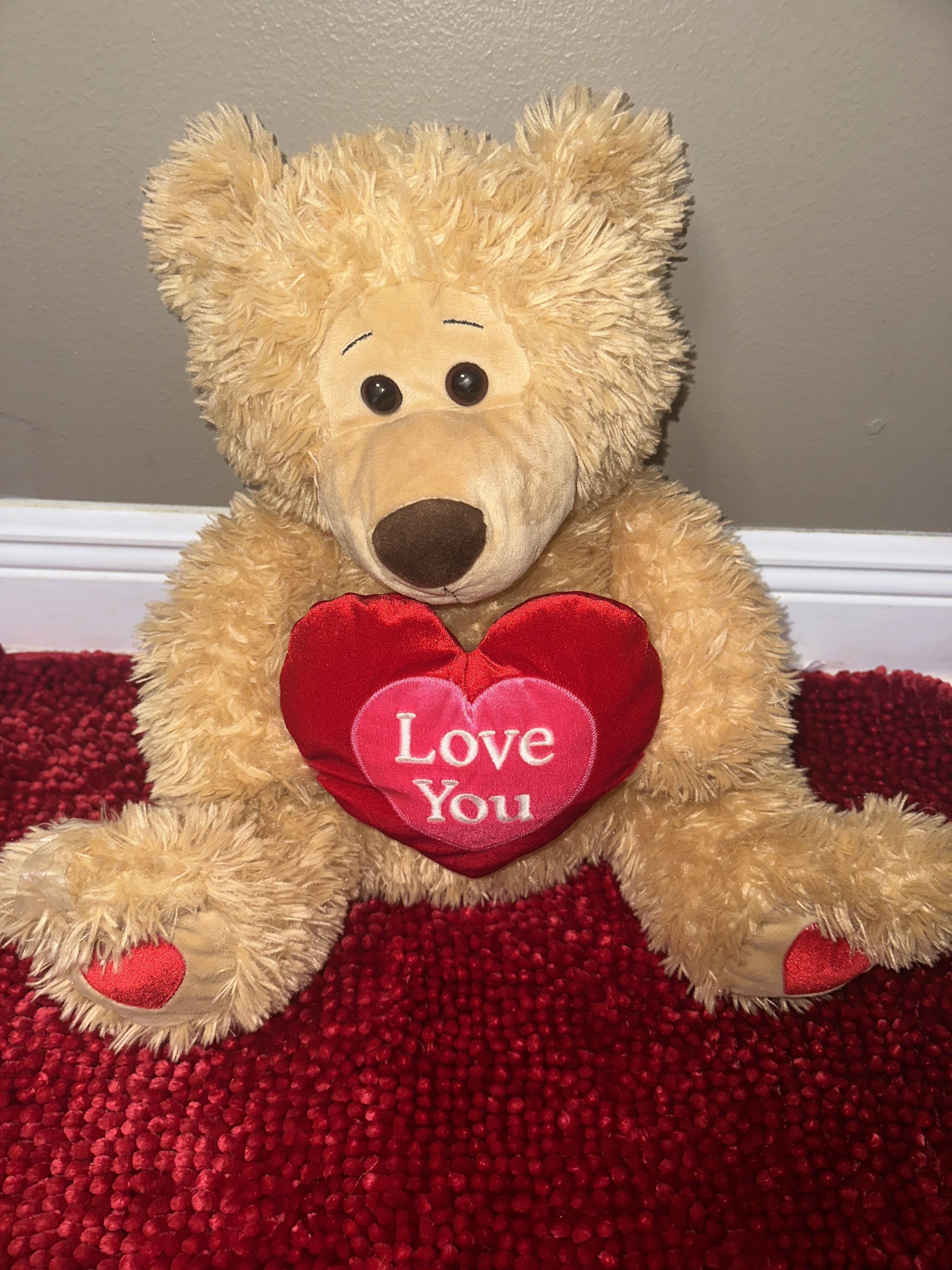 Big teddy besr - Large teddy bear