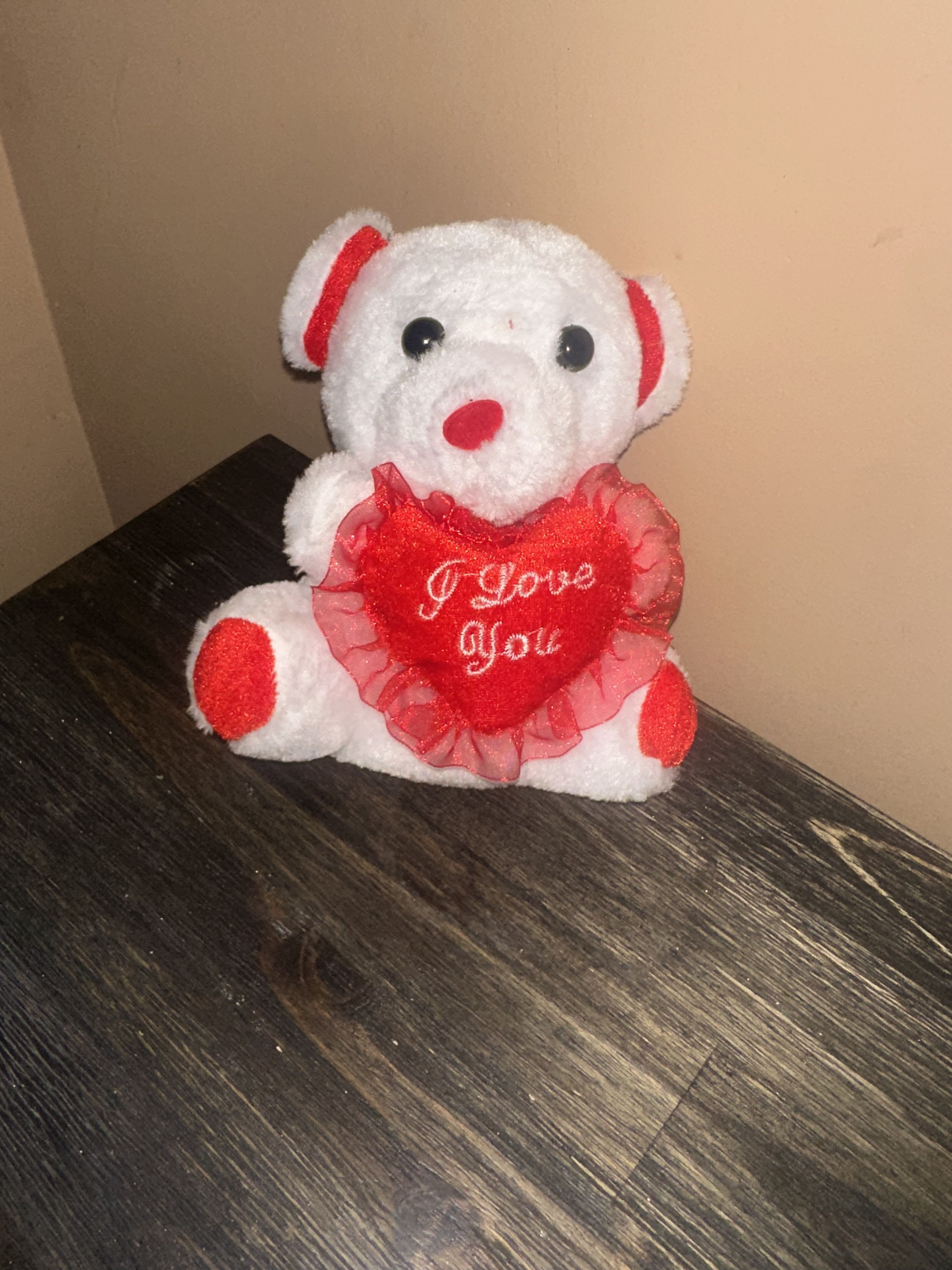 teddy bear - perfect for you present