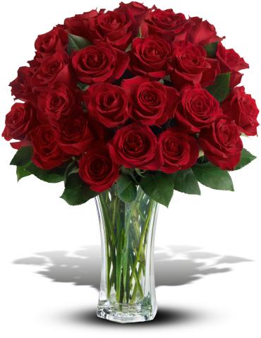 Love and Devotion - 2 Dozen Red Roses - Sweep her off her feet with two dozen red roses in a gracefully flared clear glass vase. Whether for an anniversary, birthday or just because, this gorgeous romantic bouquet of 24 roses will win her heart all over again.  The spectacular bouquet features two dozen red roses accented with salal. 
