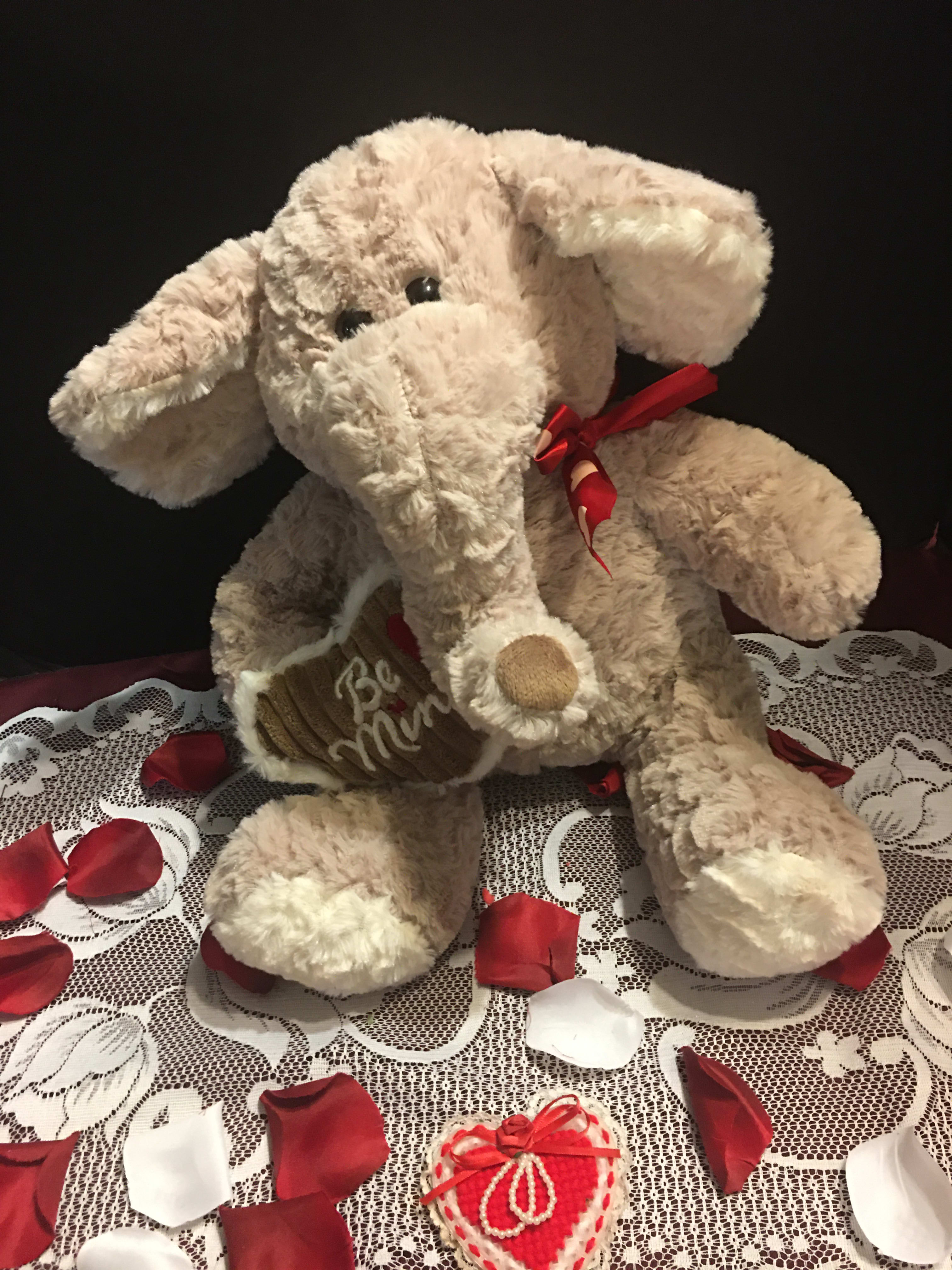 Assorted Plush Animals - Soft plush animal for your valentine
