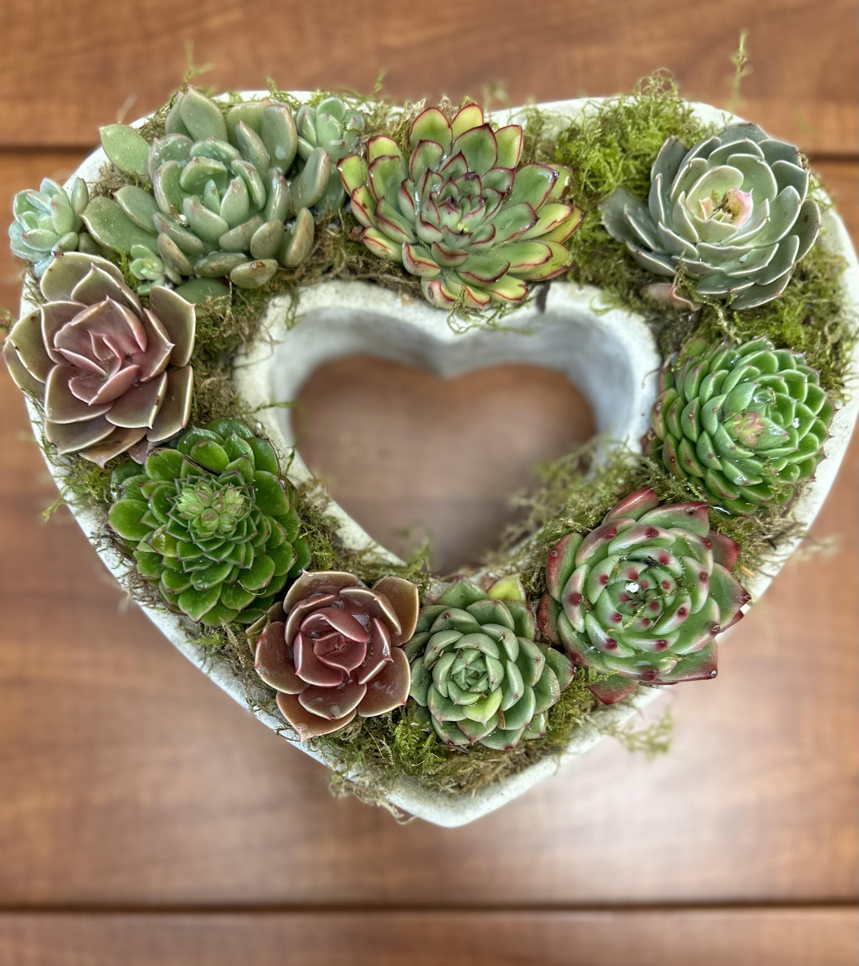 Desert Love - Eight small succulents in a approximately 9" by 9" concrete heart shape vasal. 