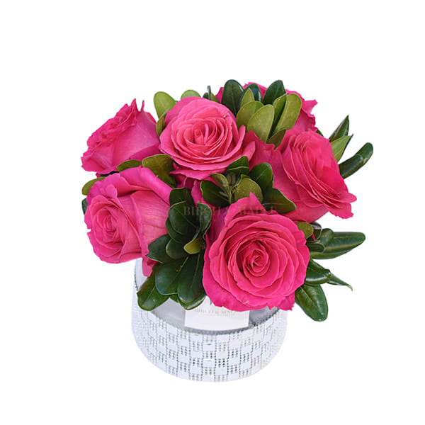 Passion Pink - This charming arrangement is all about warmth and pleasant vibes .This well put together arrangement contains half a dozen premium roses paired with seasonal foliage and comes in a clear container lined with a matching ribbon .For same day delivery and Free Delivery Options Text or Call  832-973-1376.