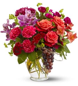 Pinot Noir - Pinot Noir 