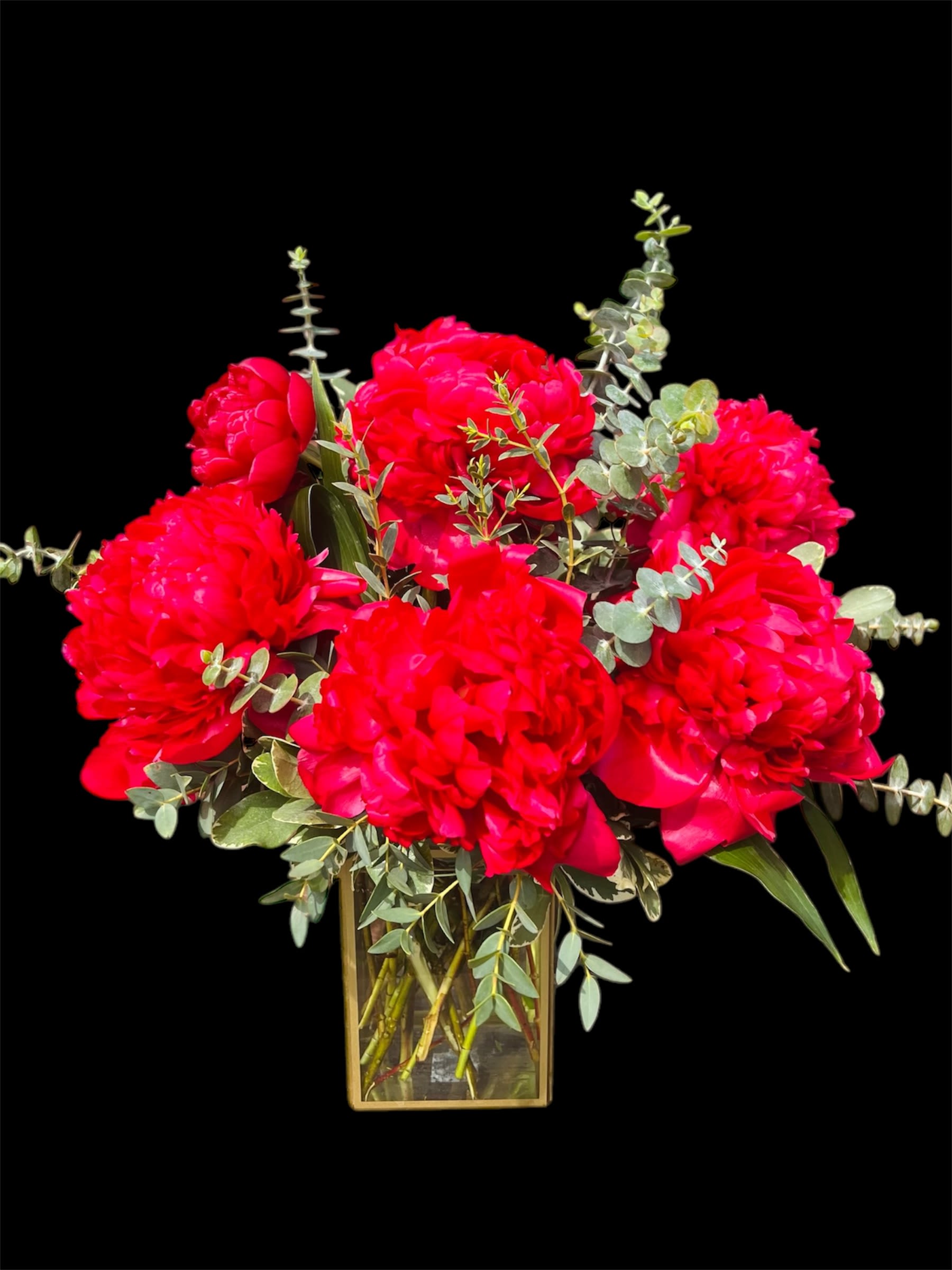 Infinite Love  - An enchanting display of half a dozen red burgundy peonies, their velvety petals radiating depth and allure. The flowers are artfully surrounded by a lush blend of greenery, including delicate eucalyptus and vibrant ruscus, adding a fresh and textured contrast. All of this beauty is showcased in a one-of-a-kind rectangular gold glass vase, where the shimmering metallic tones elevate the arrangement, creating a truly luxurious and captivating centerpiece