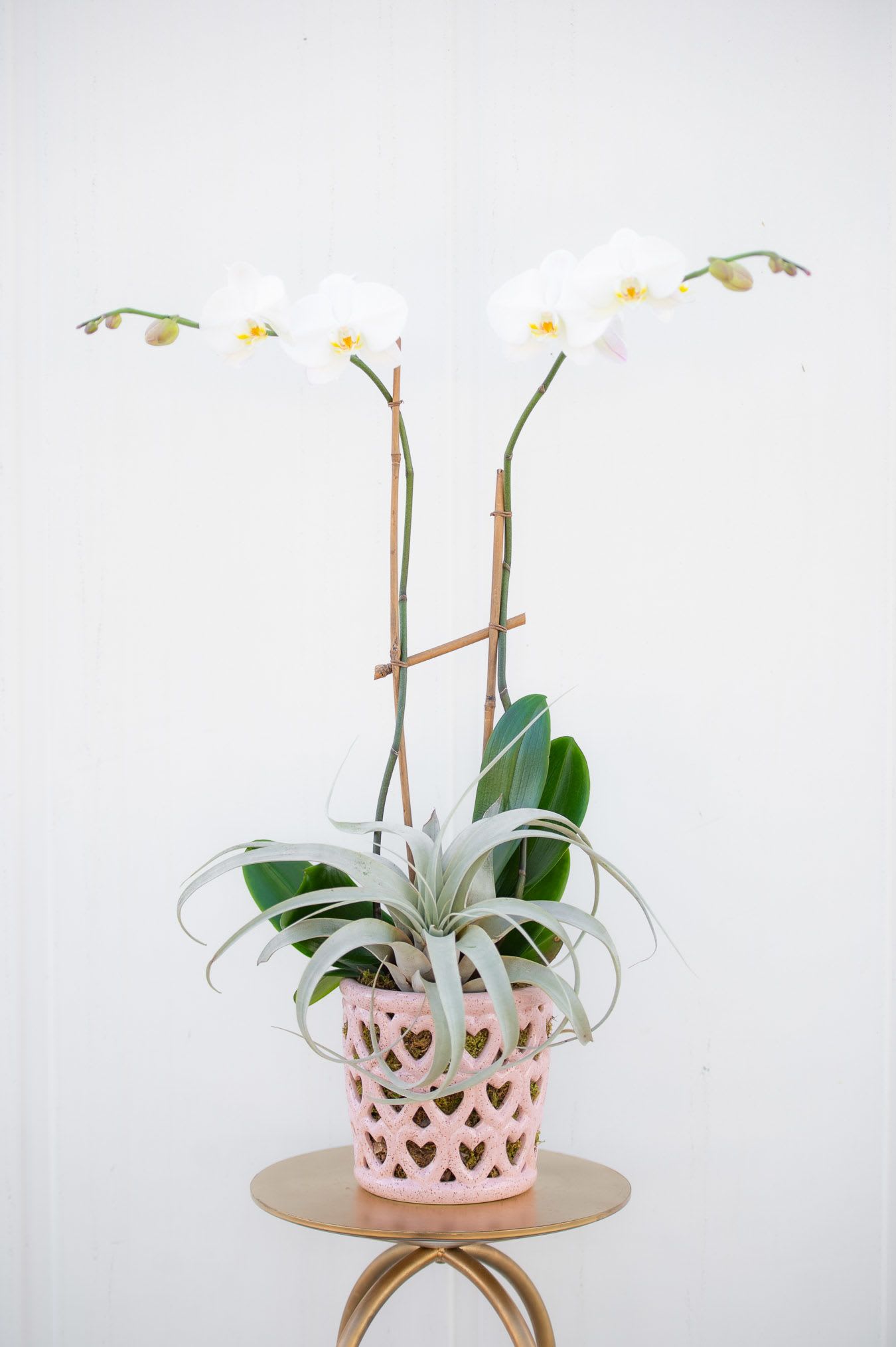 Lovers' Heart Orchid Plant  - Double white Phalaenopsis orchid plant in an exclusive ceramic vase with hearts.  
