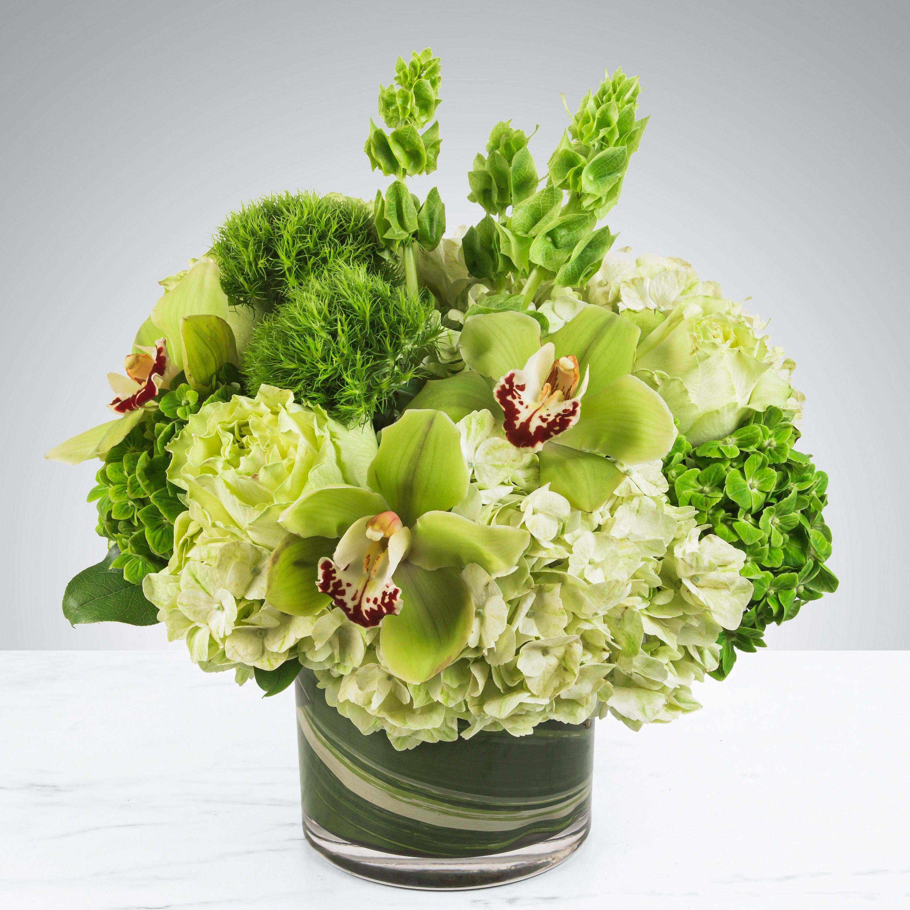 Irish Bells  - Guiness! Saint Patricks Day! The Cliffs of Moher! Keep things fresh and lucky with this all green arrangement featuring bells of Ireland, dianthus, cymbidium orchids, and green hydrangeas. Send somebody a good luck arrangement or because it’s St. Patrick’s Day!  Approximately 12” D