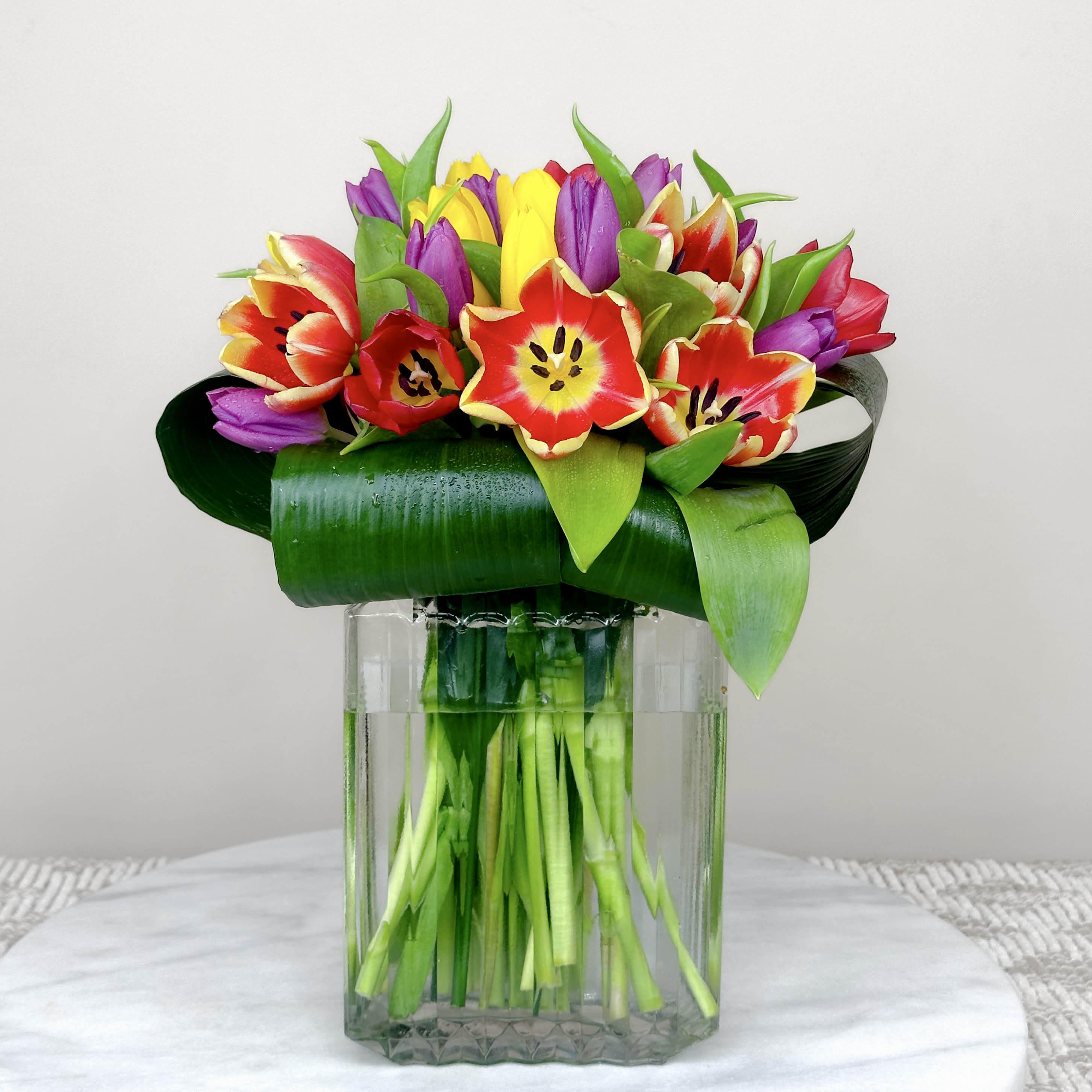 Vibrant Tulips - Tulips will never be out of style! Such a precious flower that can be designed by itself and still be the most beautiful. The flower that needs no introduction — A statement on its own! Let your love shine through by sending this vibrant tulips bouquet to your special someone today!  Approximately 10” H x 8” W
