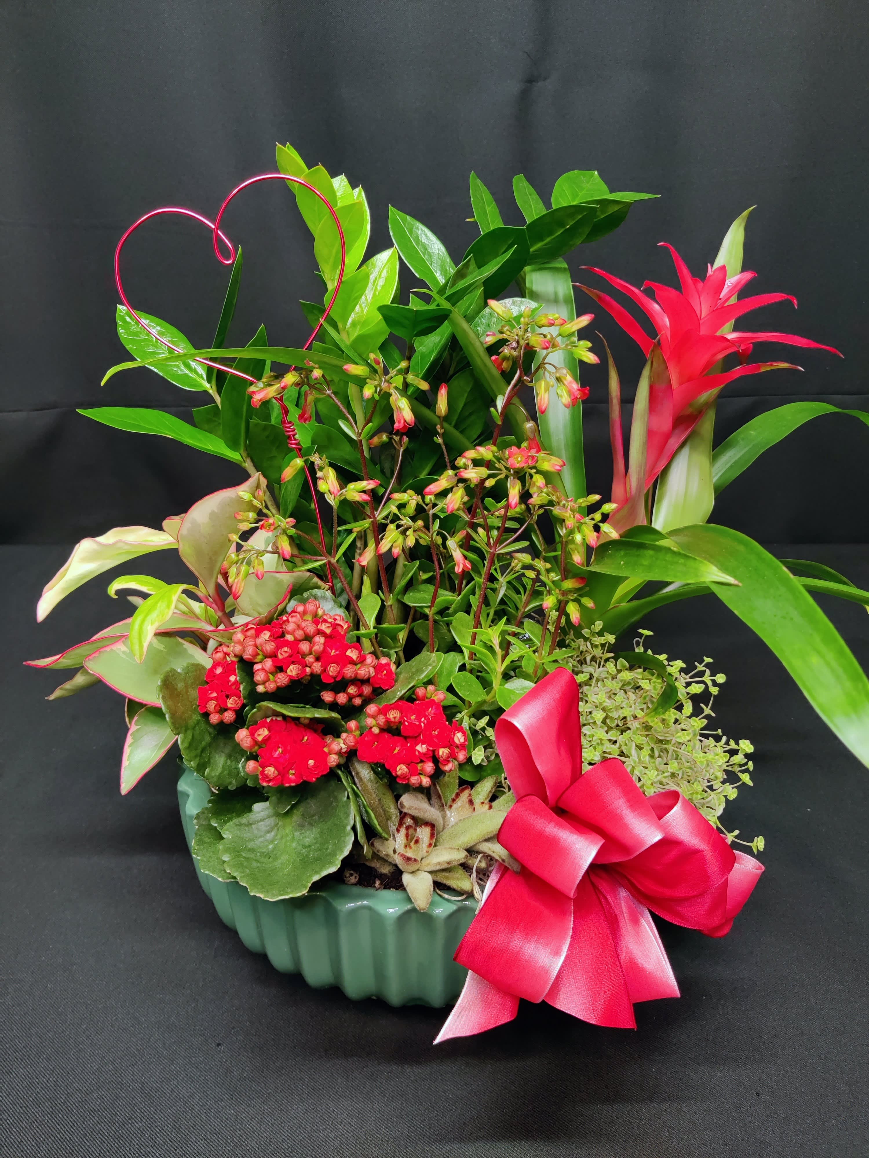Large Valentine indoor tropical garden  - Centerpiece of interesting easy  care indoor plants. Sweet red heart accent. 