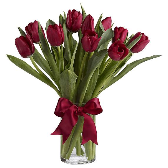 RADIANTLY RED TULIPS - Beautiful and "simply said" red tulips are a hip way to show you care.