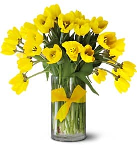 Sunny Yellow Tulips - Premium [30TULYL] - Sunny days are here again, ushered in by 30 of the cheeriest yellow tulips you've ever seen. Let it snow and blow - with this floral gift on view, the forecast is clear skies.  Thirty yellow tulips arranged in a clear glass vase, tied with a yellow ribbon. Order online today for same-day delivery      As Shown : 30TULYL  