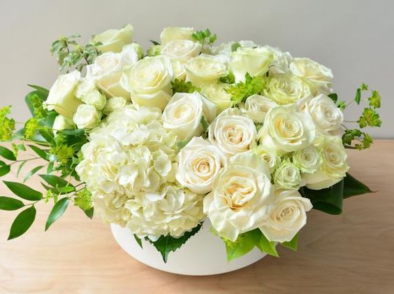 White n Wispy - modern meets traditional,  roses and hydrangea     classic white roses with a touch of hydrangea     arranged in a modern vessel   