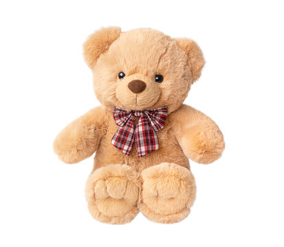 Teddy Bear - This upgrade incudes a cuddly plush bear (valued at $15 or more) - additional flowers may be added depending on the actual value of the bear included.