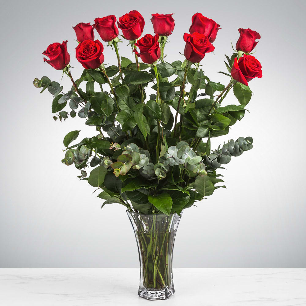 Dozen Long Stemmed Red Roses by Blooming Flowers - These dozen red roses are the classic romantic gift! Perfect for Valentine's Day or an Anniversary.   APPROXIMATE DIMENSIONS: 25" H X 18" W