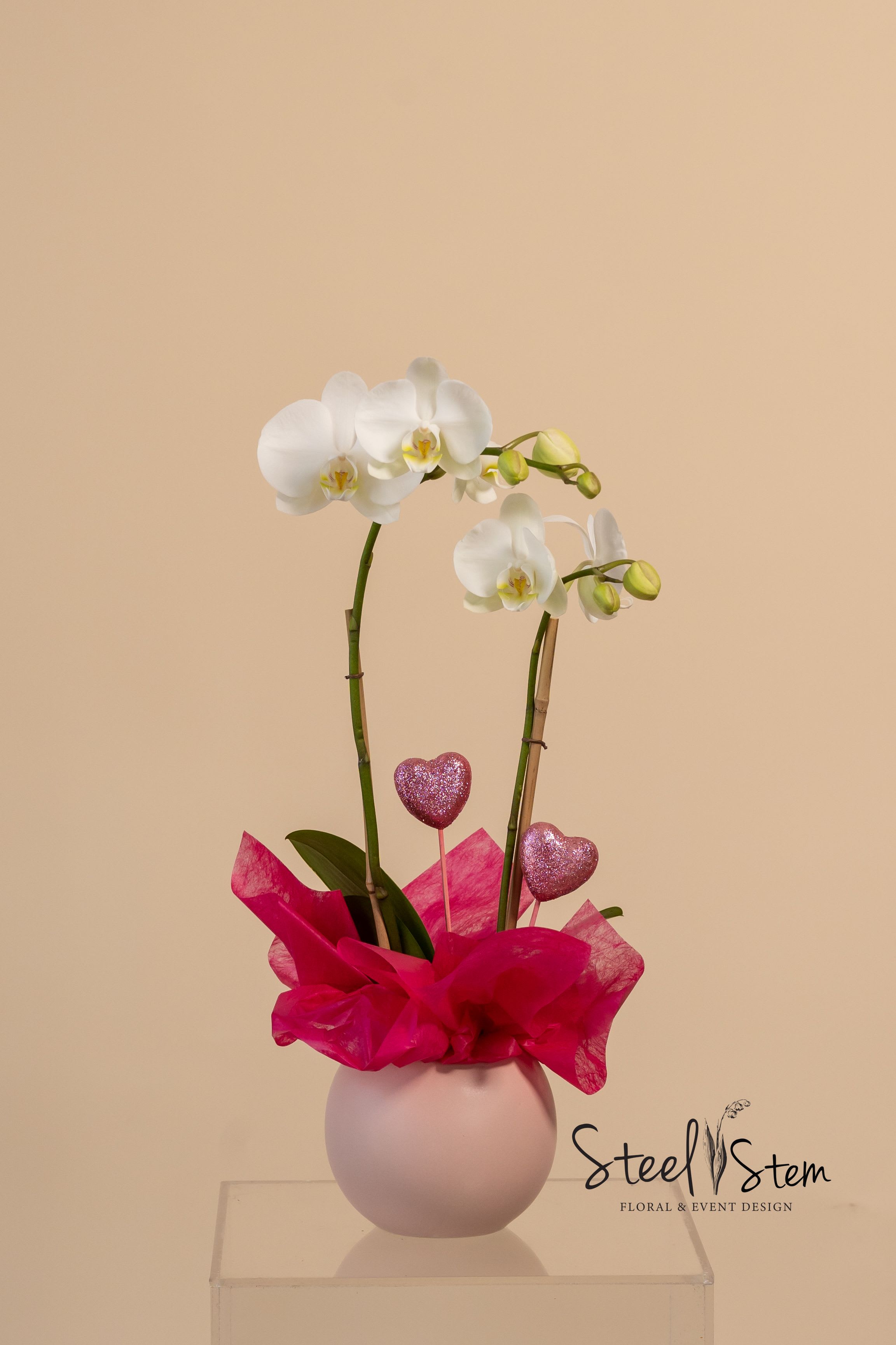 I Love Orchid  - A charming and elegant arrangement designed for the season of romance. This delicate mini white orchid symbolizes pure love and admiration, gracefully paired with sparkling hearts, hot pink tissues and soft pink ceramic vase. this design radiates warmth and affection. Whether as a gift for a loved one or a sweet self-indulgence, this orchid is a timeless gesture of love, joy, and elegance—