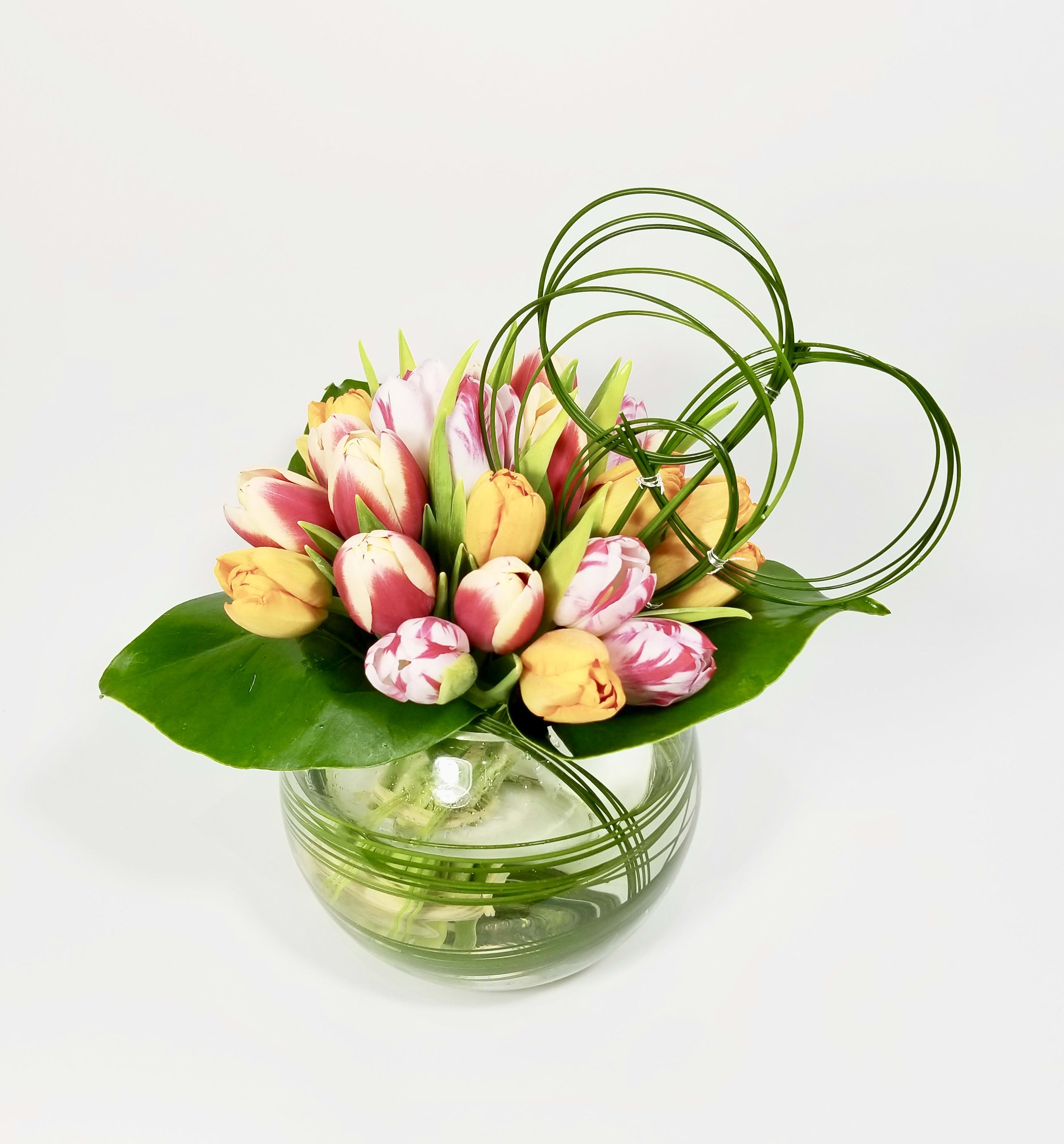 Tulips and loops - A modern arrangement of 15, 25, or 35 colorful tulips with exotic greenery in a clear fish bow glass vase.    There is a window of 24 hours to fulfill these order. 