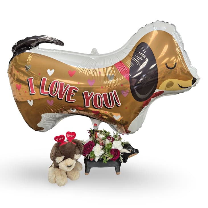 Puppy Love Bundle - Puppy Love is an adorable arrangement designed in a charming keepsake ceramic dachshund planter. This bundle includes a cute dachshund mylar balloon and Fur-ever tan/chocolate dog.   Includes: -Puppy Love Arrangement -Jumbo Dog Mylar Balloon -Fur-ever Dog Plush