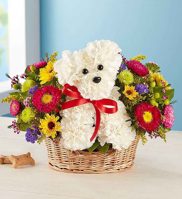 Doggy in a Basket - Product ID: 90891  EXCLUSIVE Unleash smiles with our original and fun Doggy in a basket floral creation. Hand-designed in a handsome reusable basket it's perfect for dog lovers, pet parents, or a unique gift to get you out of the doggy house. The arrangement is created using the freshest carnations, Viking poms, asters, statice, solidago, and button poms Hand-crafted in the shape of an adorable dog, complete with eyes, nose and a bow collar. Our florists select the freshest flowers available so floral colors and varieties may vary