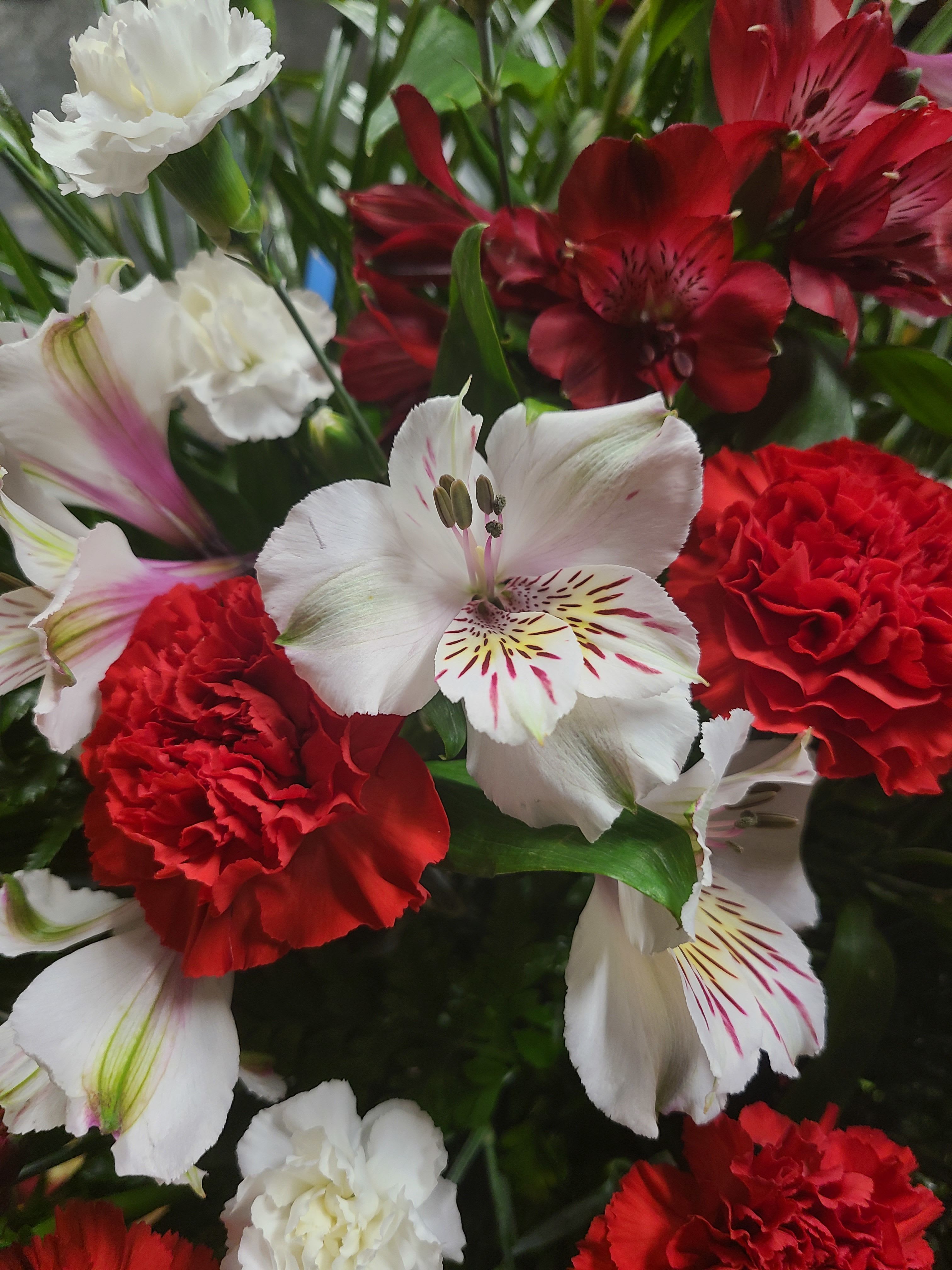 Designers Choice in Vase  - A beautiful arrangement of fresh cut flowers in a vase. Colors will be appropriate for occasion/season.