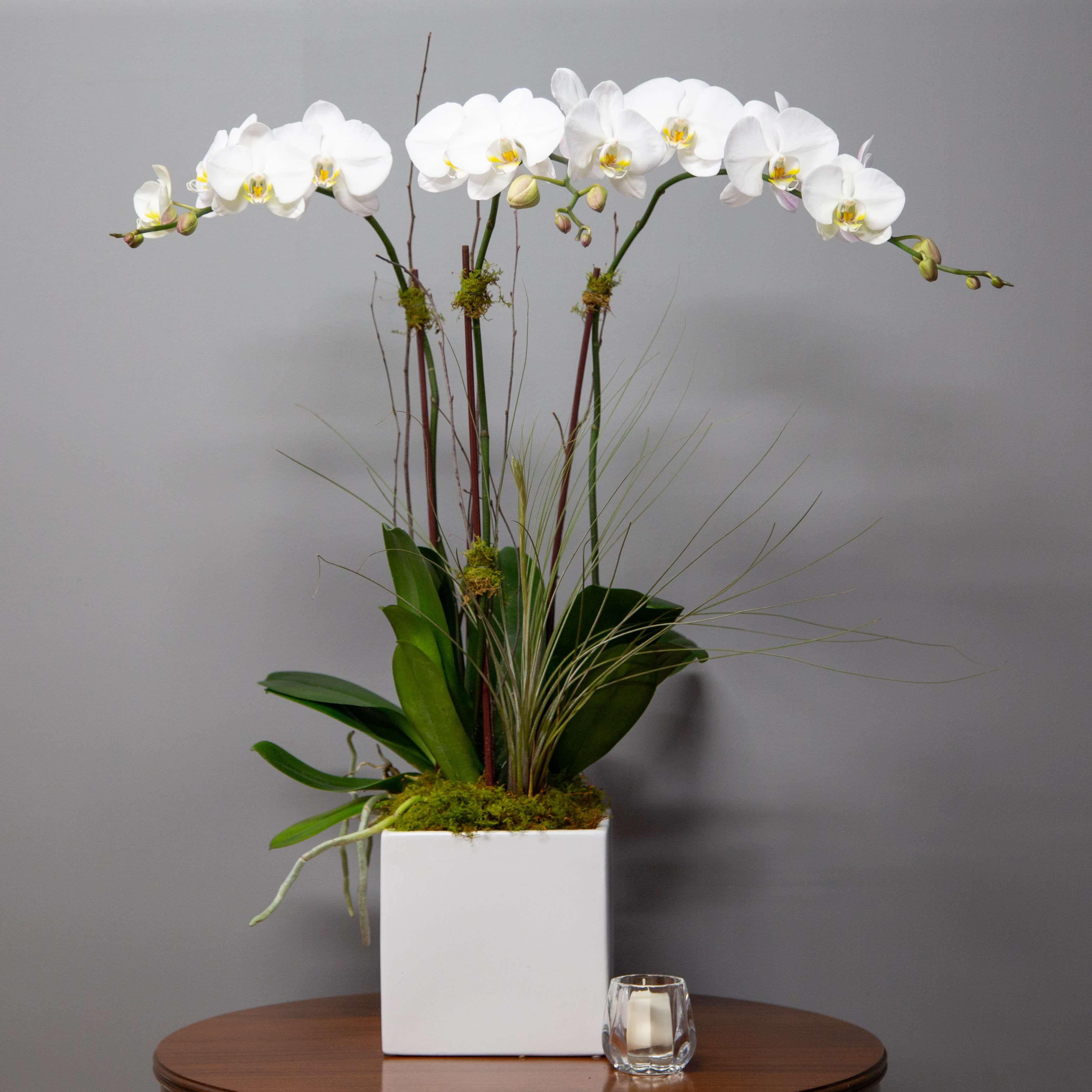 Triple White Phalaenopsis Orchids - An elegant ceramic cube filled with 3 beautiful white Phalaenopsis orchids.