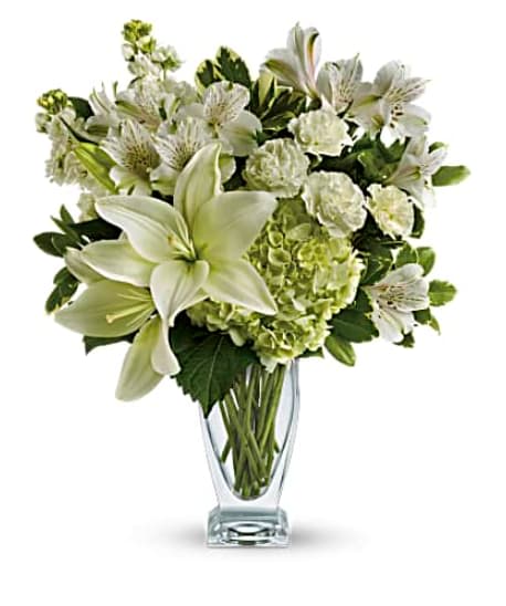 Teleflora's Purest Love Bouquet - Pure love deserves the pure luxury of this wondrous white bouquet. Fragrant lilies, lush hydrangea and delicate alstroemeria are carefully arranged in our Couture vase for an elegant look they will adore. This snow-white bouquet includes hydrangea, asiatic lilies, alstroemeria, miniature carnations, stock and fresh green pittosporum. Delivered in Teleflora's Couture vase. Orientation: All-Around