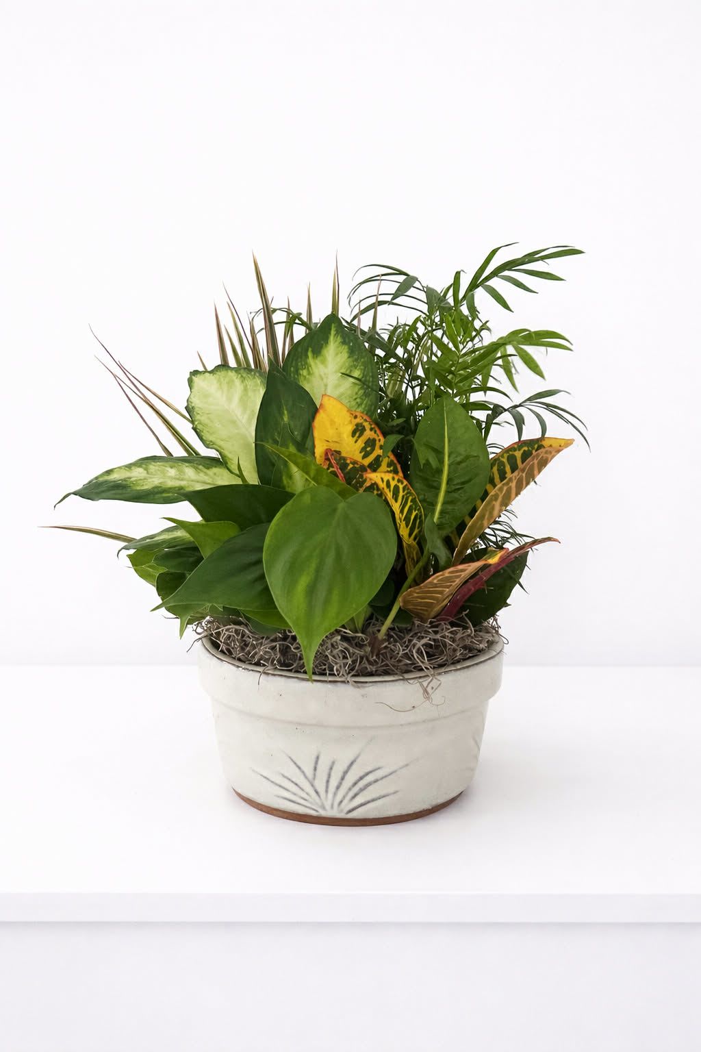 Planter - This listing is for a mixed planter, standard is in a handled basket, deluxe and premium will vary depending on availability