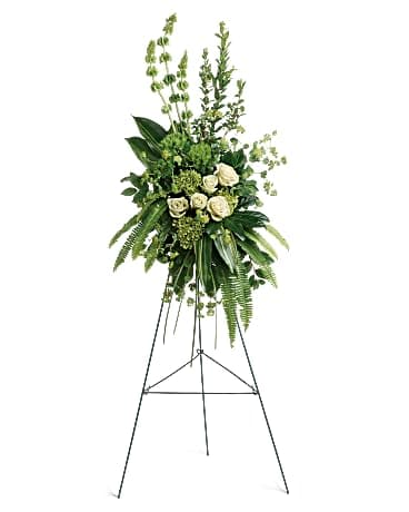 Forever At Peace Spray - A peaceful display of affection and sympathy, this monochromatic spray of gorgeous fresh greens and pure white roses is a vision of tranquility. This tranquil spray of miniature green hydrangea, green roses, green trick dianthus, and bells of Ireland is accented with bupleurum, myrtle, sword fern, variegated aspidistra leaves, aralia leaf, bear grass, and lemon leaf. Delivered with a wire easel.