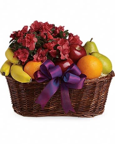 Fruits and Blooms Basket - Here's a tasteful gift for any occasion. Fruit and flowers, what could be better than that? A big wicker basket comes overflowing with apples, bananas, pears and oranges that surround a hot pink azalea plant. This basket is ripe for giving!