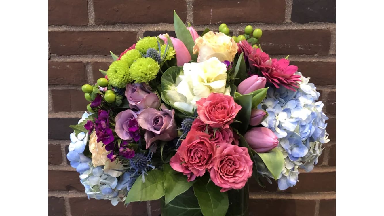 Medley of Color - A burst of colors sing for you!