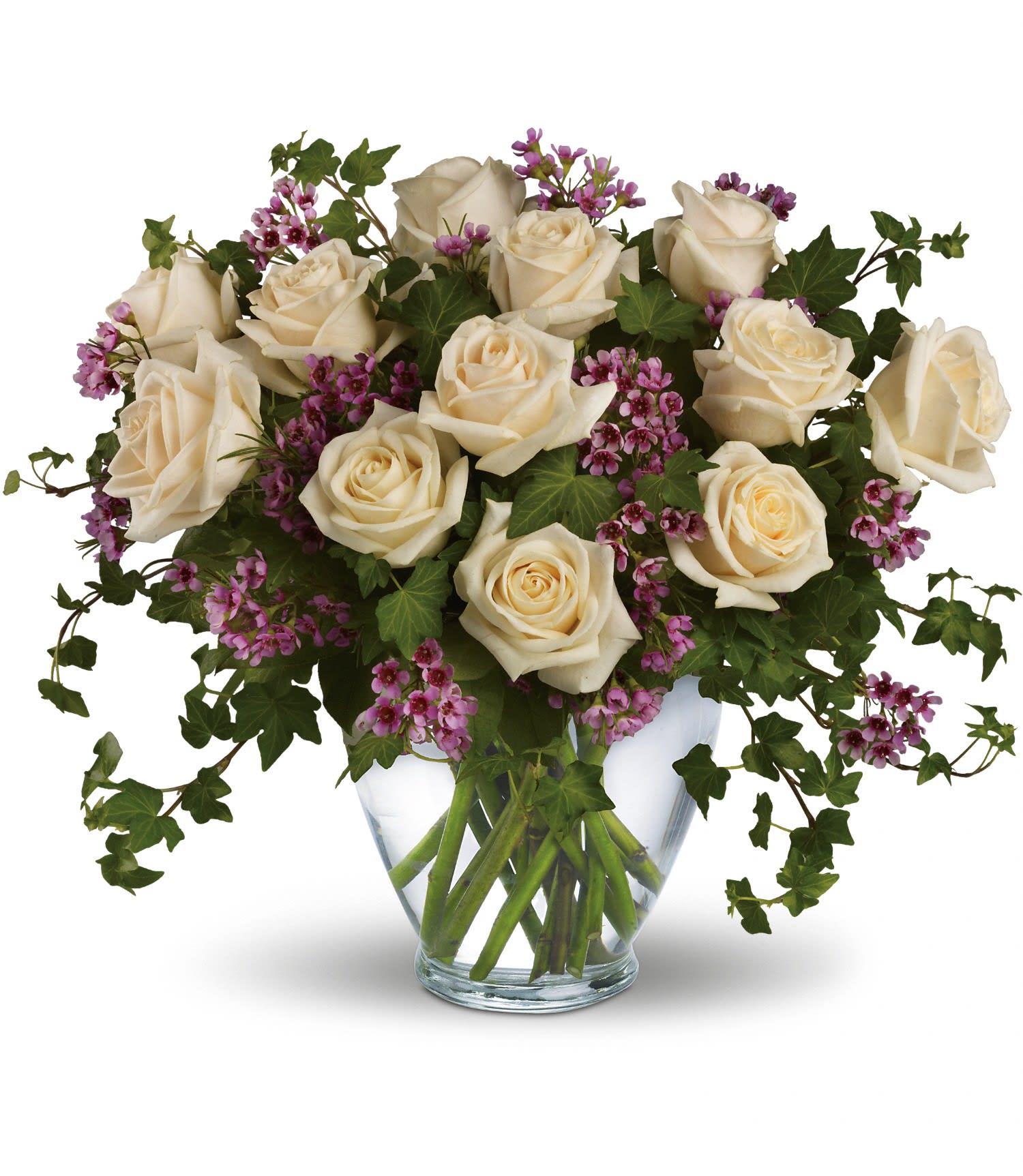 Victorian Romance - A dozen crÃ¨me roses, lavender waxflower and ivy are perfectly arranged in a serenity glass vase. Approximately 17" W x 15" H    T69-1A