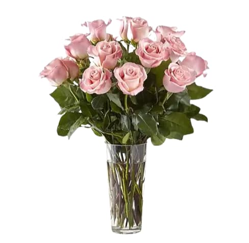 Long Stem Premium Light Pink Roses  - Premium long stem pink roses with seasonal greenery in a tall clear vase.  STANDARD: 12 Premium Roses DELUXE: 24 Premium Roses PREMIUM: 36 Premium Roses